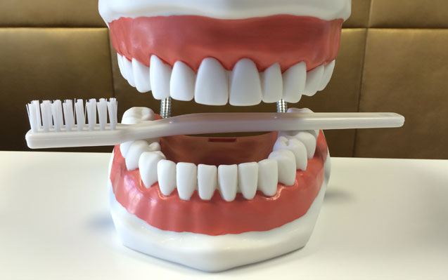 Professionelle Mundhygiene und Parodontitis Therapie